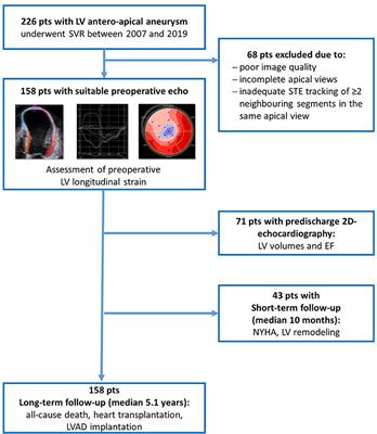 Predictive Value of Two-Dimensional Speckle-Tracking Echocardiography in Patients Undergoing Surgical Ventricular Restoration